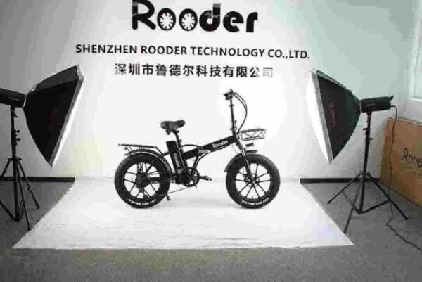 2024 producător de biciclete electrice en gros
