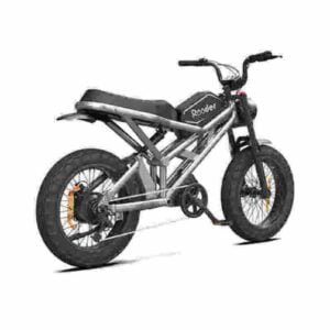 2024 producător de biciclete electrice en gros