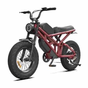 Producător de biciclete electrice Fat Tire de 24 inch
