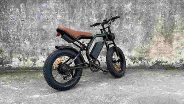 Bicicletă electrică cu 3 roți pentru 2 adulți producător angro