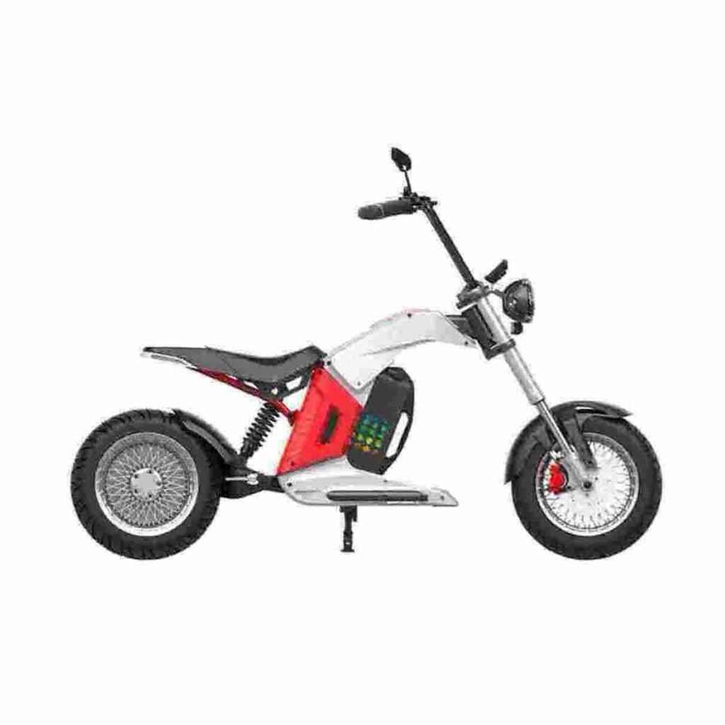Producător de motociclete electrice de 3000w en-gros