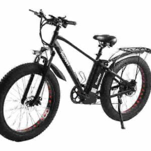 Producător de biciclete electrice de 3000 W en-gros