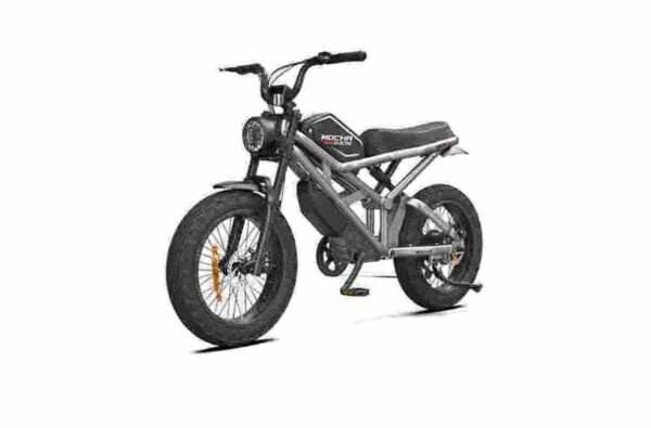 Producător de biciclete electrice de 500 W en-gros