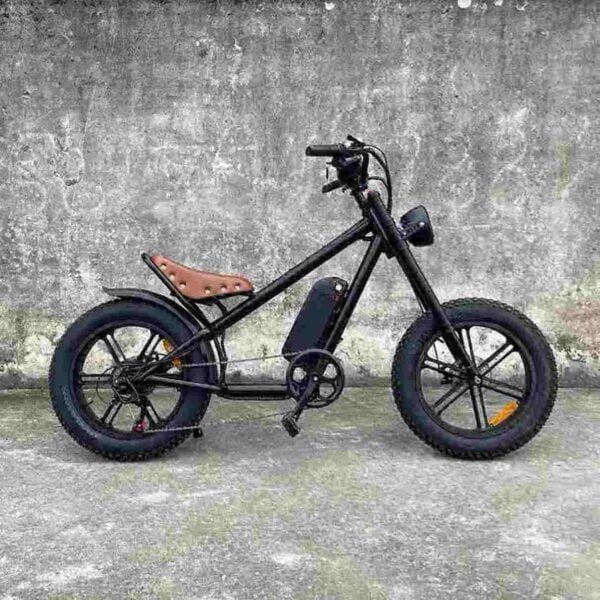 Producător de biciclete Fat Bike de 750 W en-gros