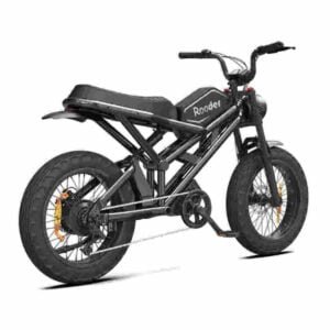 Producător de biciclete electrice Fat Tire la preț accesibil