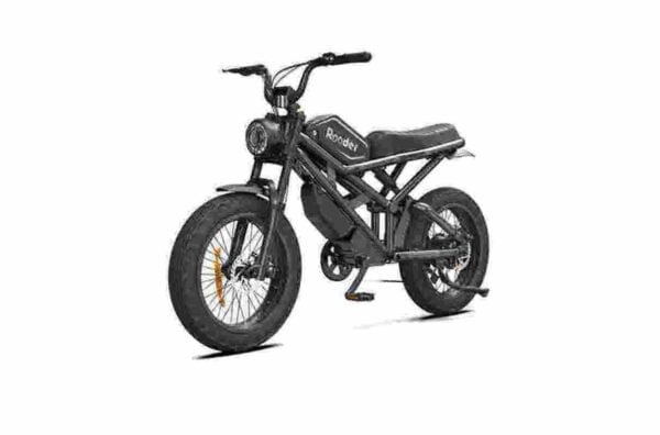 Producător de biciclete electrice pliabile la prețuri accesibile cu ridicata
