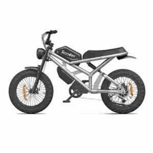 Producător de biciclete electrice Assassin Dirt Bike