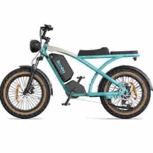 Cel mai bun producător de biciclete electrice cu anvelope grase