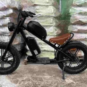 Cel mai bun producător de biciclete electrice Fat Tire en-gros