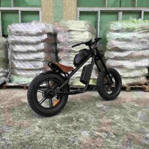 Producător de biciclete electrice Big Tire en-gros