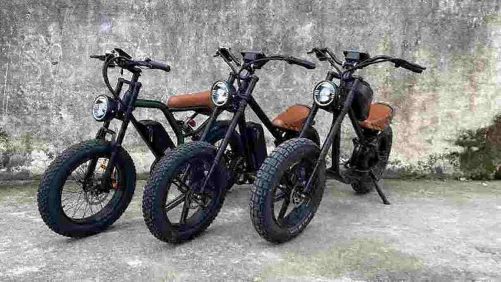 Producător de biciclete electrice cu motor fără perii