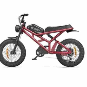 Producător chinez de biciclete electrice cu ridicata