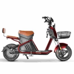 Citycoco Chopper 3000w producător angro