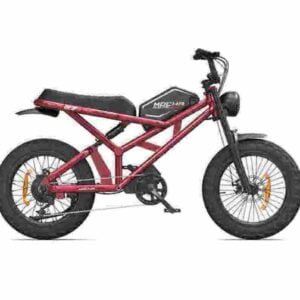 Producător de biciclete electrice pliabile cu ridicata