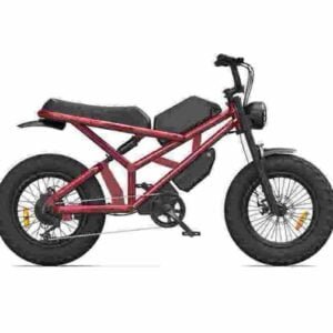 Producător de biciclete electrice pliabile compacte cu ridicata