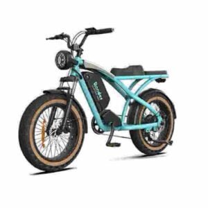 Producător de biciclete electrice personalizate cu ridicata