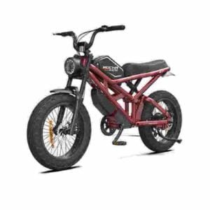 Producător de biciclete electrice pentru femei