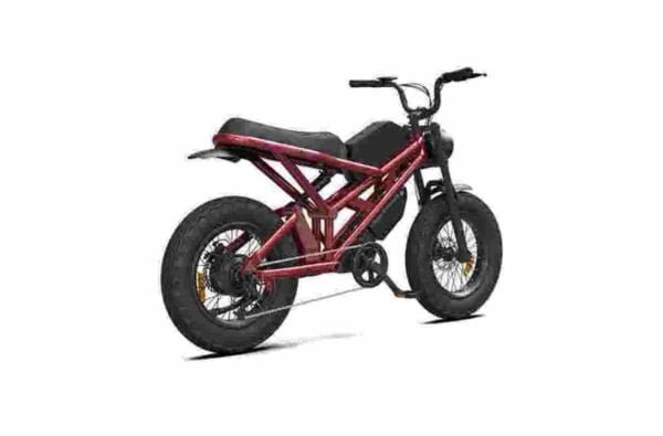 Producător de biciclete electrice pliabile E Cycle en-gros