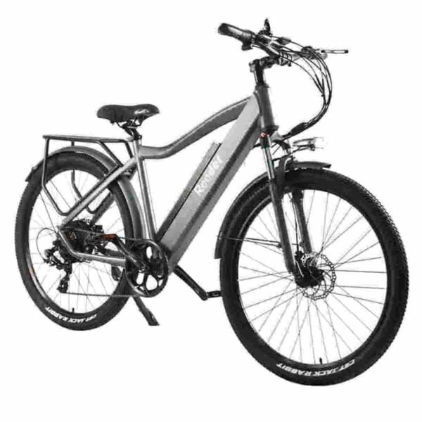 Producător de design Ebike en-gros