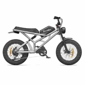 Ebike Fat Tire Producător de biciclete cu ridicata