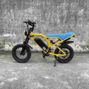 Producător de biciclete electrice Big Dirt Bike