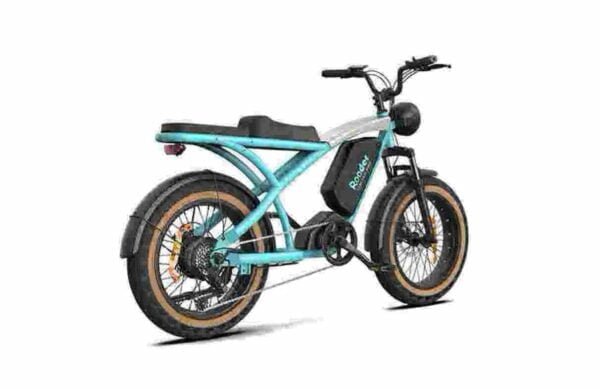 Producător de viteză de biciclete electrice en-gros