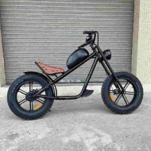 Producător de biciclete electrice Dirt Bike