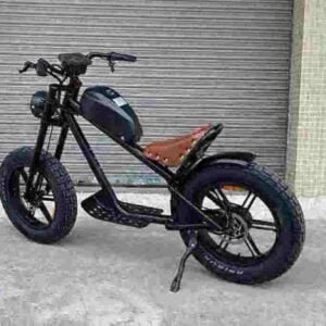 Bicicletă electrică de vânzare pentru adulți producător angro