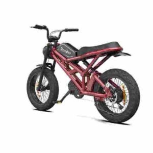 Dirt Bikes electrice Producator de biciclete electrice Dirt Bikes