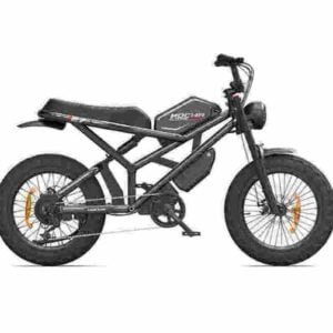 Producător de biciclete electrice Fat Tire pentru adulți