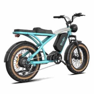 Producător de biciclete electrice cu propulsie en-gros