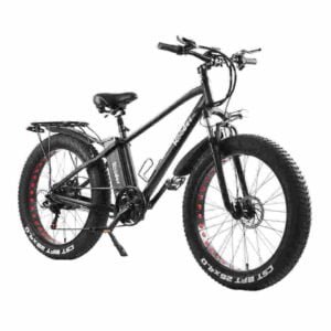 Eu Warehouse Producător de biciclete electrice angro