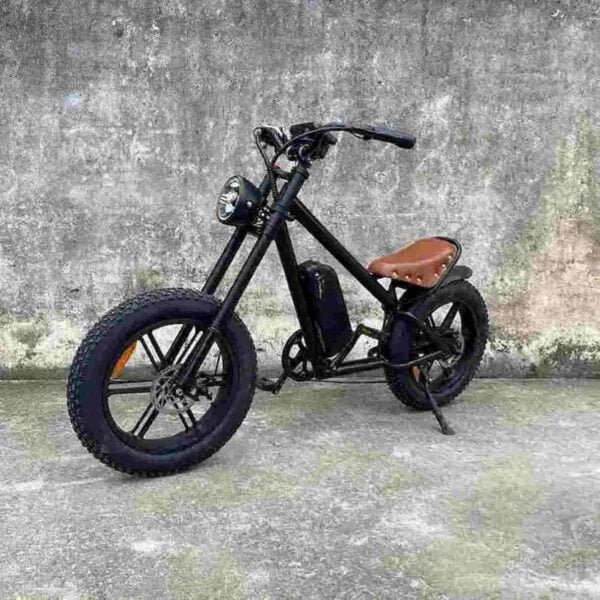 Producător de biciclete electrice pliabile de 20 inchi