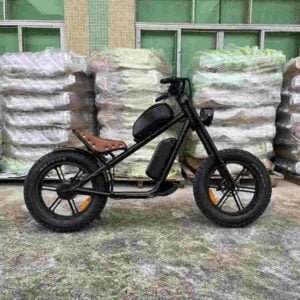 Producător de biciclete electrice pliabile verde en-gros