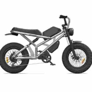 Producător de biciclete electrice cu rază lungă de acțiune angro