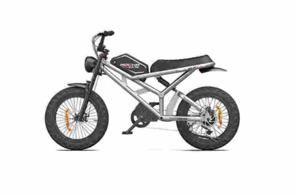 Producător de biciclete electrice pentru bărbați