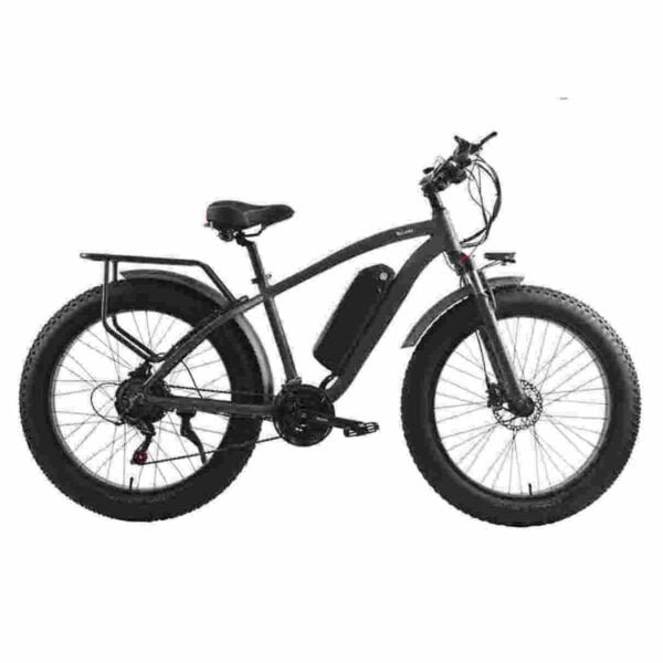 cel mai bun producător de biciclete cu asistență la pedală