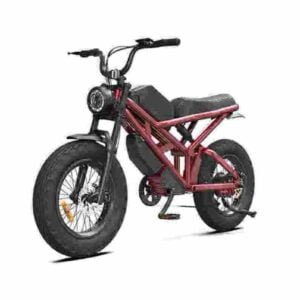 Producător de biciclete electrice cu ridicata