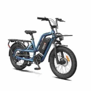 pret biciclete electronice 3 roti producator angro