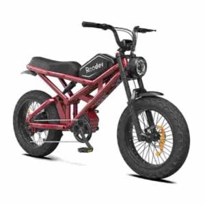 Producător de magazine de biciclete electronice en-gros