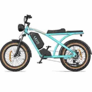 biciclete electrice cargo de vânzare producător en-gros