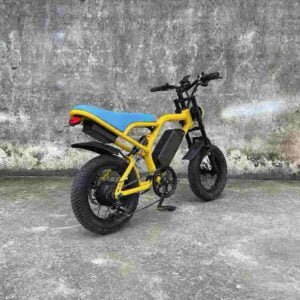 electricbikereview producător angro