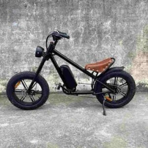 biciclete electrice rapide de vânzare producător en-gros