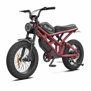 fatbike producător de biciclete electrice cu ridicata