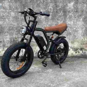 Producător de biciclete pliabile fat bike en-gros