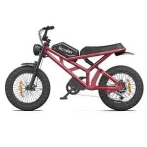 Producător de biciclete electrice de ciclomotor cu ridicata