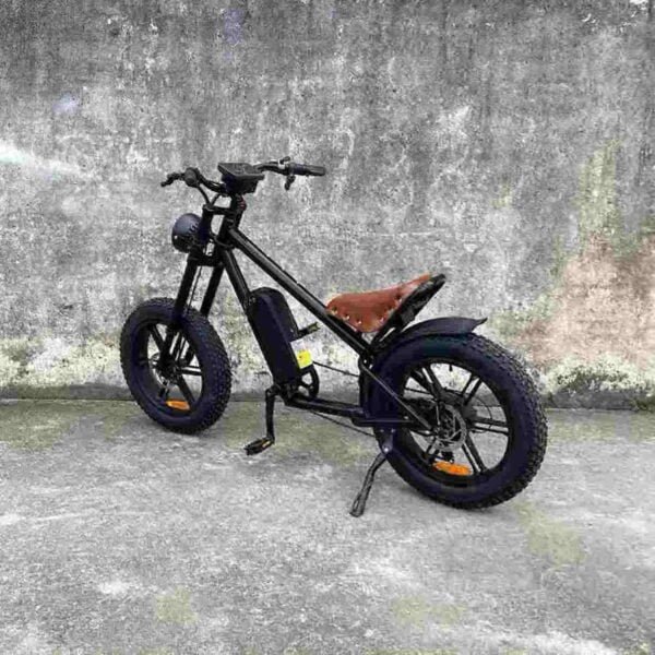 Producător de biciclete electrice pentru două persoane